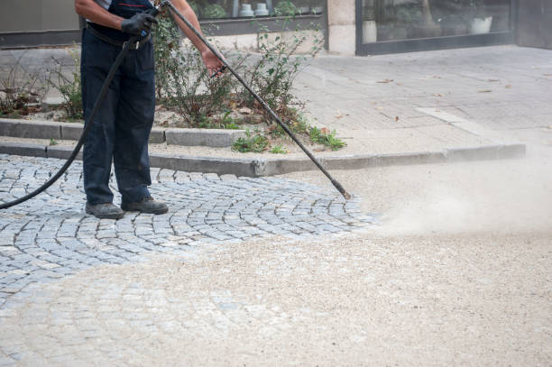 Best Animal Enclosure Cleaning  in Claxton, GA